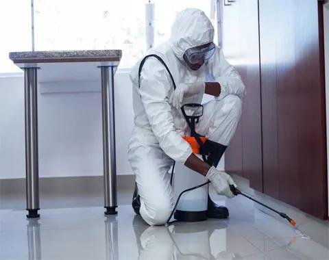Bed Bug Fumigation Leeds 4