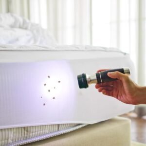 Bed Bug Inspection & Detection