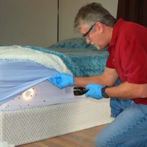 Bed Bug Inspection & Detection