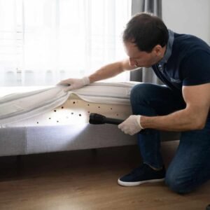 Bed Bug Inspection & Detection