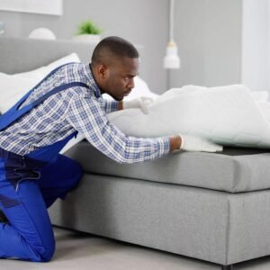 Bed Bug Heat Treatment Sheffield