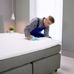 Chemical-Free Bed Bug Heat Treatment