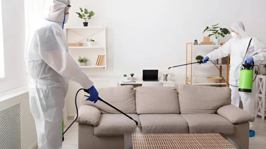 Emergency Bed Bug Heat Treatment