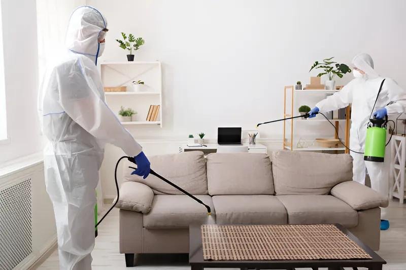 Bed Bug Removal Leeds 2