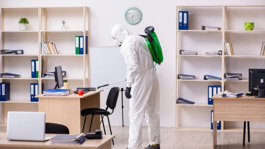 Emergency Bed Bug Heat Treatment