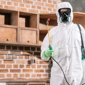 Commercial Bed Bug Heat Treatment