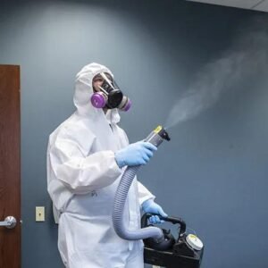 Commercial Bed Bug Heat Treatment