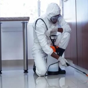 Commercial Bed Bug Heat Treatment