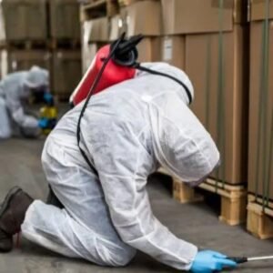Commercial Bed Bug Heat Treatment