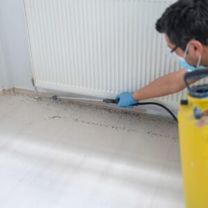 Bed Bug Prevention & Monitoring Services