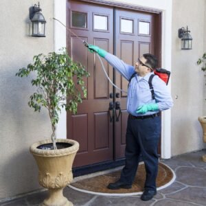 Bed Bug Prevention & Monitoring Services