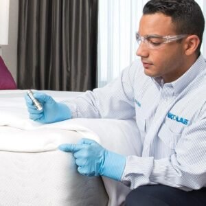 Hotel & Hospitality Bed Bug Treatment