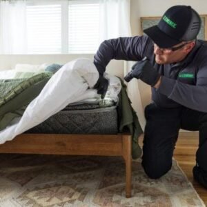 Hotel & Hospitality Bed Bug Treatment