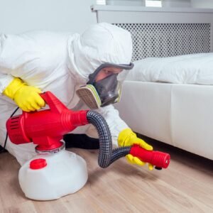 Residential Bed Bug Heat Treatment