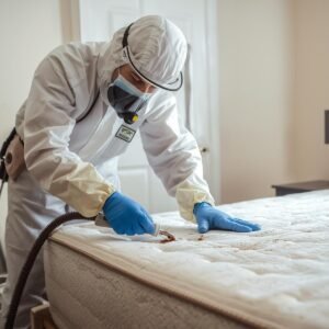 Residential Bed Bug Heat Treatment