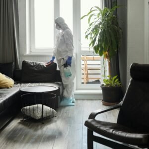 Student Accommodation Bed Bug Treatment