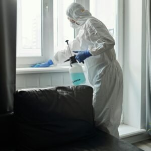 Student Accommodation Bed Bug Treatment